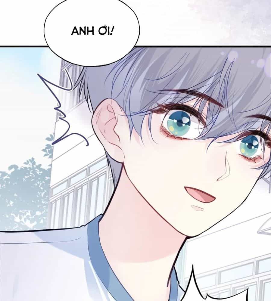 Anh Ấy Chưa Từng Sa Ngã - Chương 91 - ảnh 9