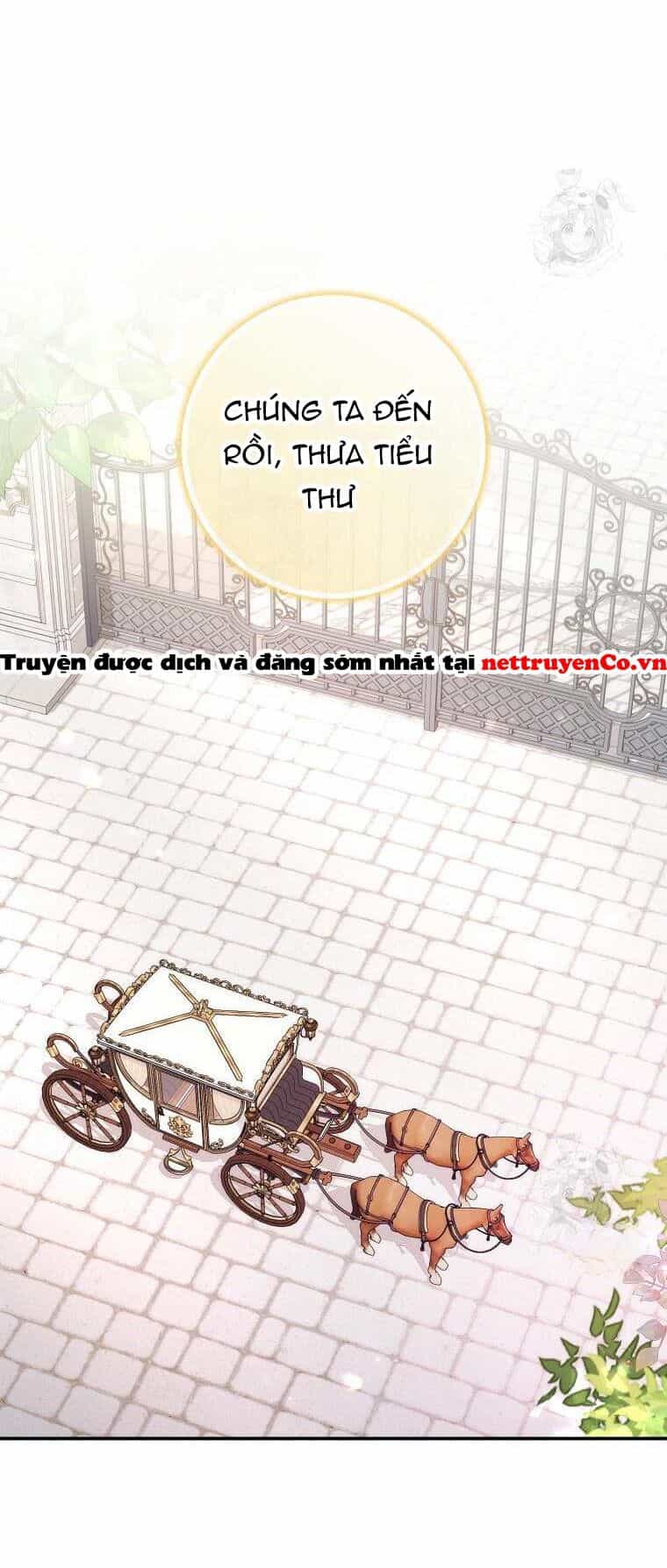 Anh Chỉ Là Đồ Bỏ Đi Của Tôi Mà Thôi - Chương 77 - ảnh 8