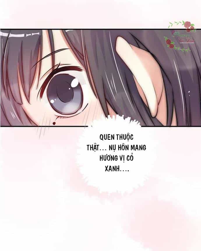 Ảnh Đế Cầu Sủng - Chương 1 - ảnh 40