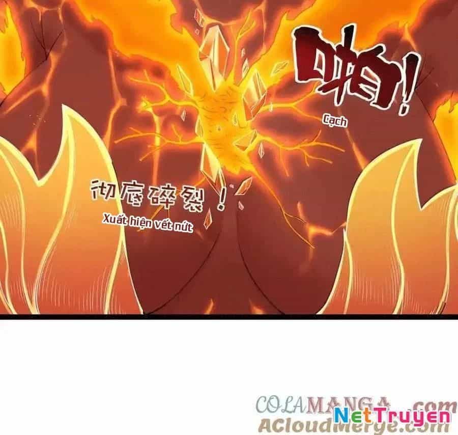 Anh Hùng Giai Cấp Tư Sản - Chương 104 - ảnh 77