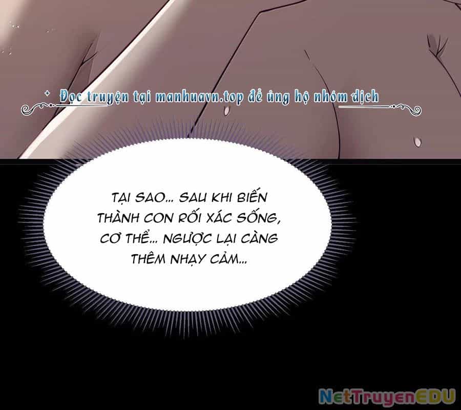 Anh Hùng Giai Cấp Tư Sản - Chương 92 - ảnh 61