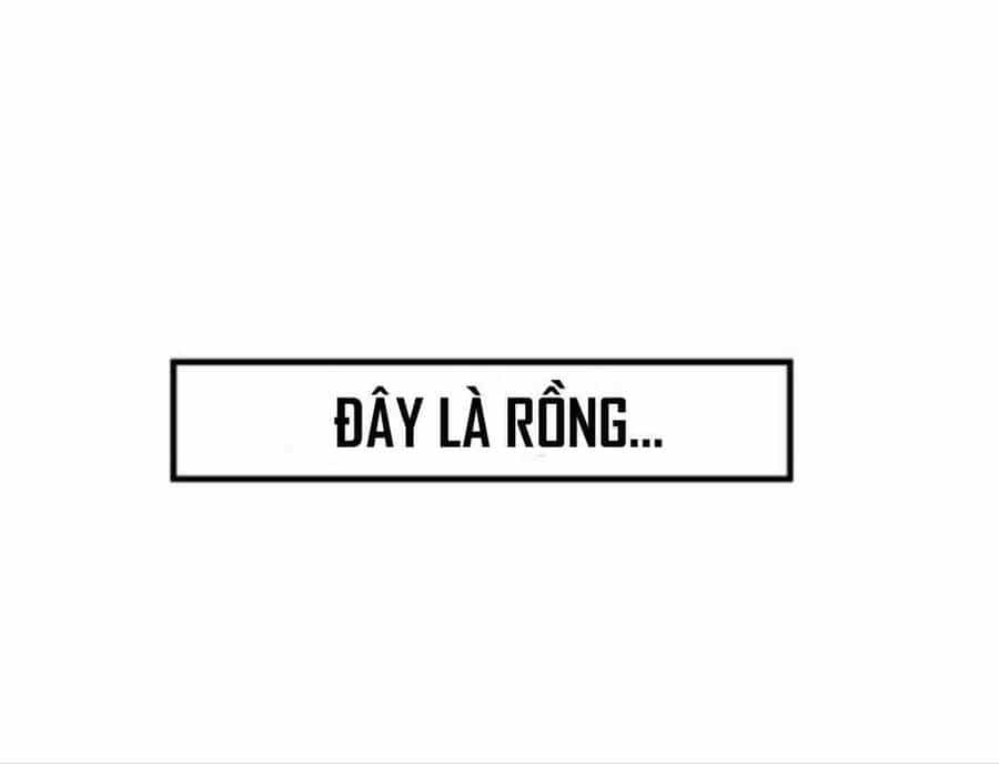 Anh Hùng Mạnh Nhất? Ta Không Làm Lâu Rồi! - Chương 24 - ảnh 95