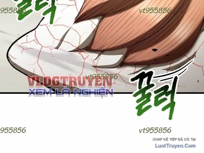 Anh Hùng Mạnh Nhất? Ta Không Làm Lâu Rồi! - Chương 273 - ảnh 258