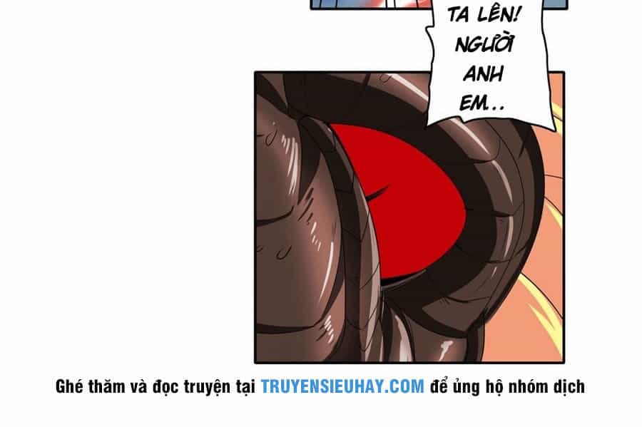 Anh Hùng ? Ta Không Làm Lâu Rồi - Chương 145 - ảnh 11