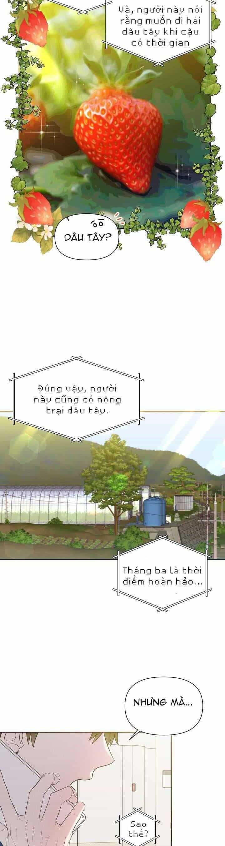 Anh Ơi, Em Có Dễ Thương Không? - Chương 19 - ảnh 21