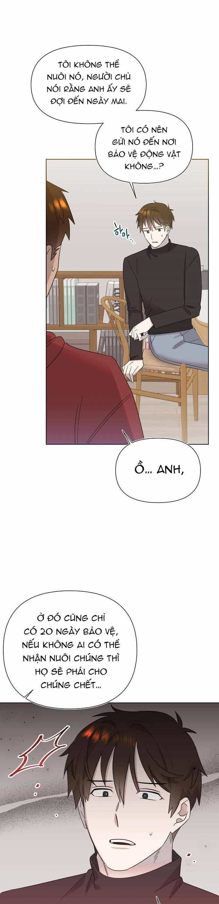 Anh Ơi, Em Có Dễ Thương Không? - Chương 23 - ảnh 15