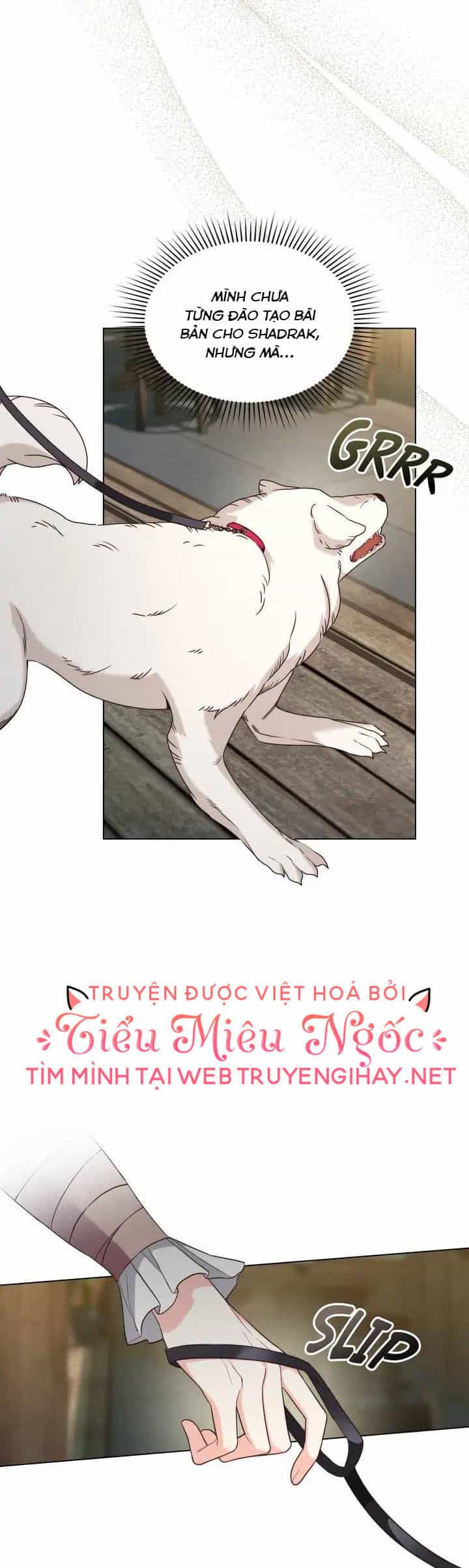 Ánh Sáng Vàng Của Bình Minh - Chương 41 - ảnh 31