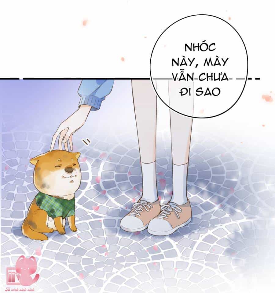 Ánh Sao Trôi Dạt Giữa Làn Nước - Chương 37 - ảnh 21