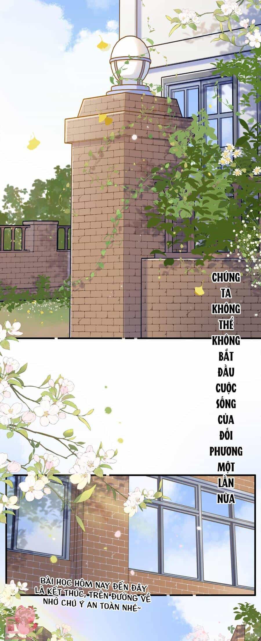 Ánh Sao Trôi Dạt Giữa Làn Nước - Chương 65 - ảnh 4