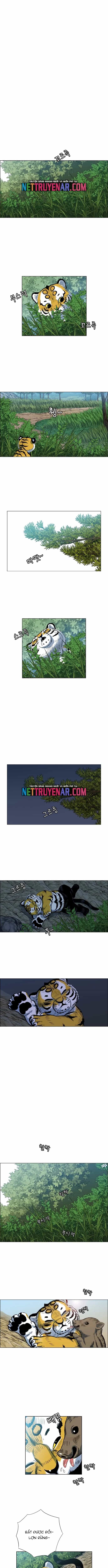 Anh Trai Tôi Là Hổ - Chương 101 - ảnh 9