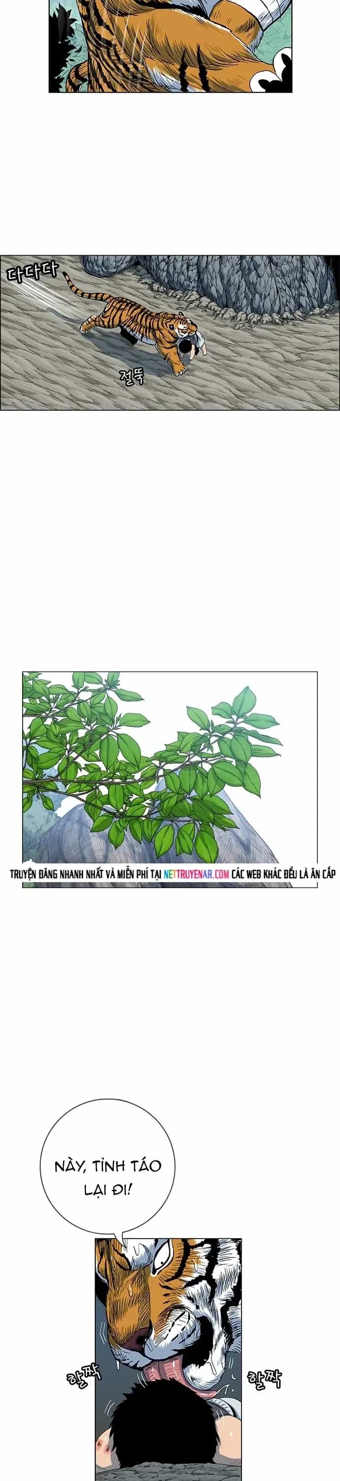 Anh Trai Tôi Là Hổ - Chương 131 - ảnh 20