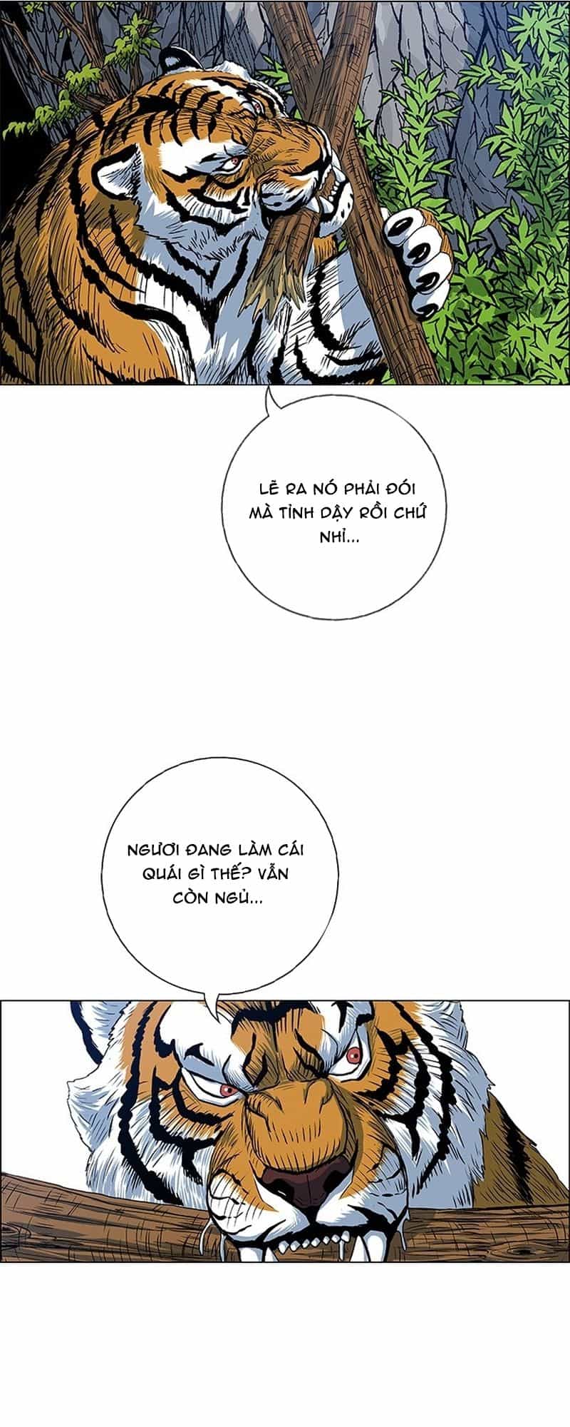 Anh Trai Tôi Là Hổ - Chương 134 - ảnh 59