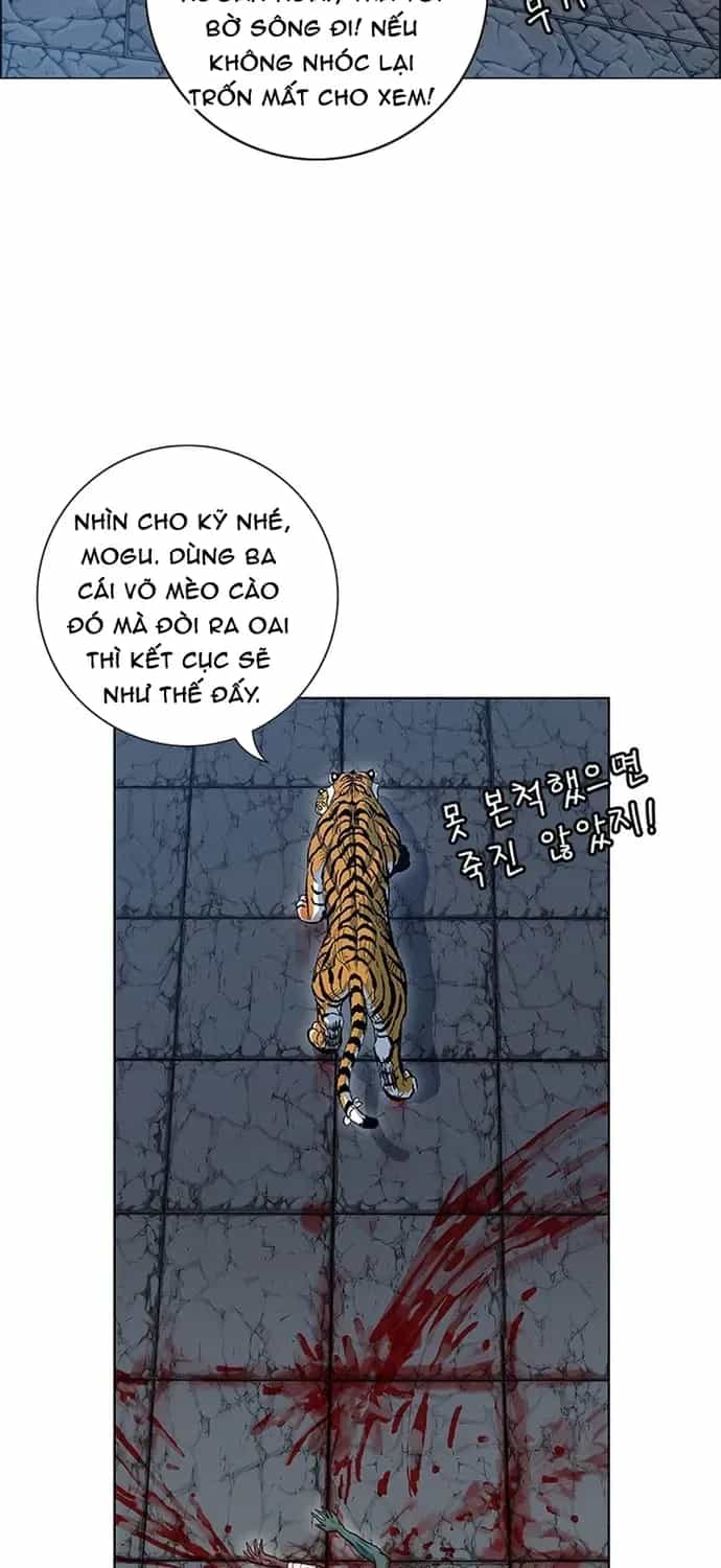 Anh Trai Tôi Là Hổ - Chương 137 - ảnh 42