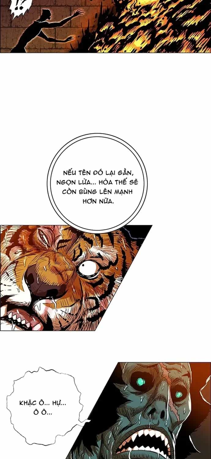 Anh Trai Tôi Là Hổ - Chương 141 - ảnh 30