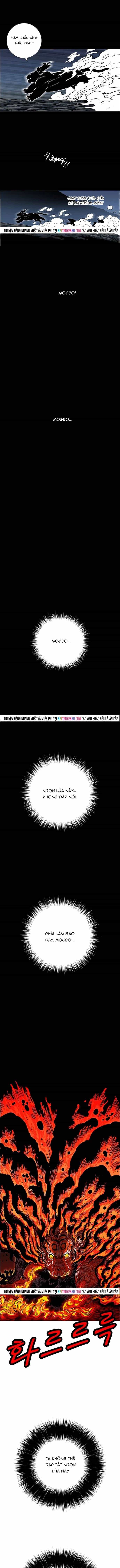 Anh Trai Tôi Là Hổ - Chương 142 - ảnh 6
