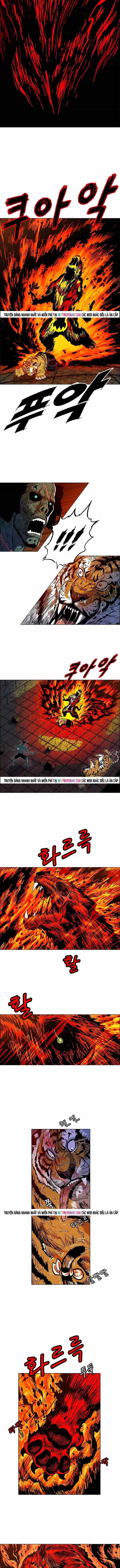 Anh Trai Tôi Là Hổ - Chương 142 - ảnh 9