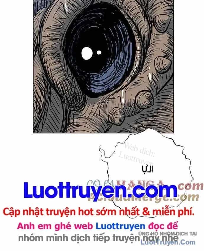 Anh Trai Tôi Là Hổ - Chương 146 - ảnh 23
