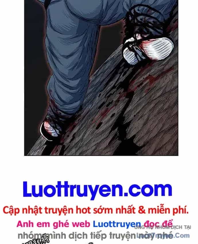 Anh Trai Tôi Là Hổ - Chương 149 - ảnh 13