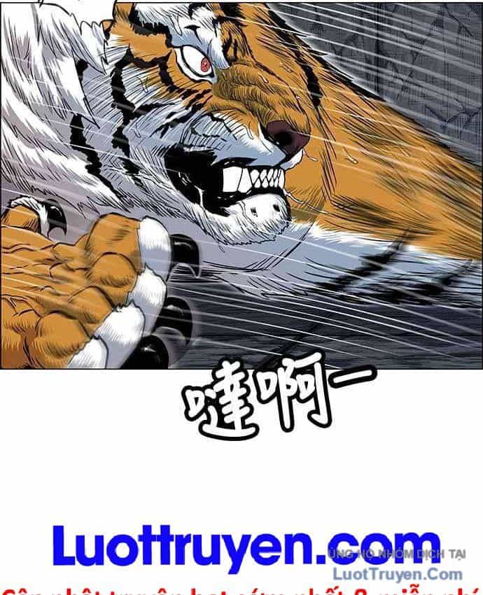 Anh Trai Tôi Là Hổ - Chương 152 - ảnh 14