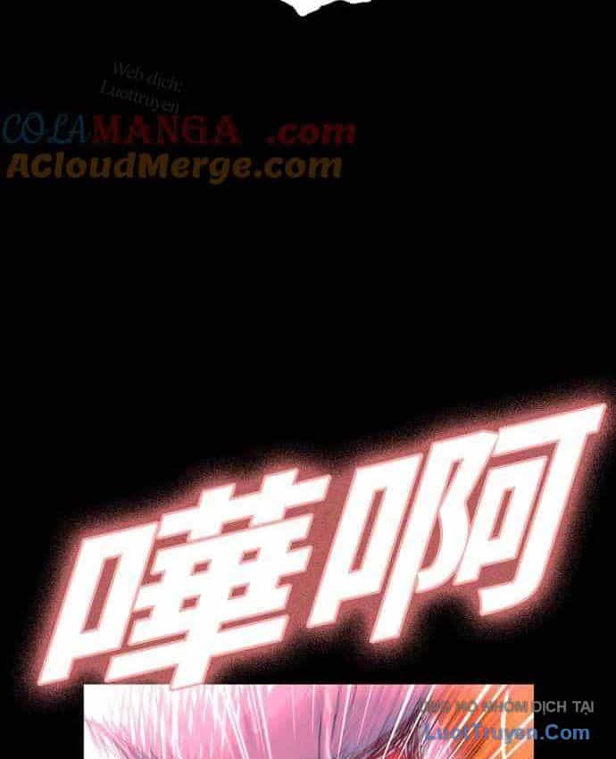 Anh Trai Tôi Là Hổ - Chương 152 - ảnh 40