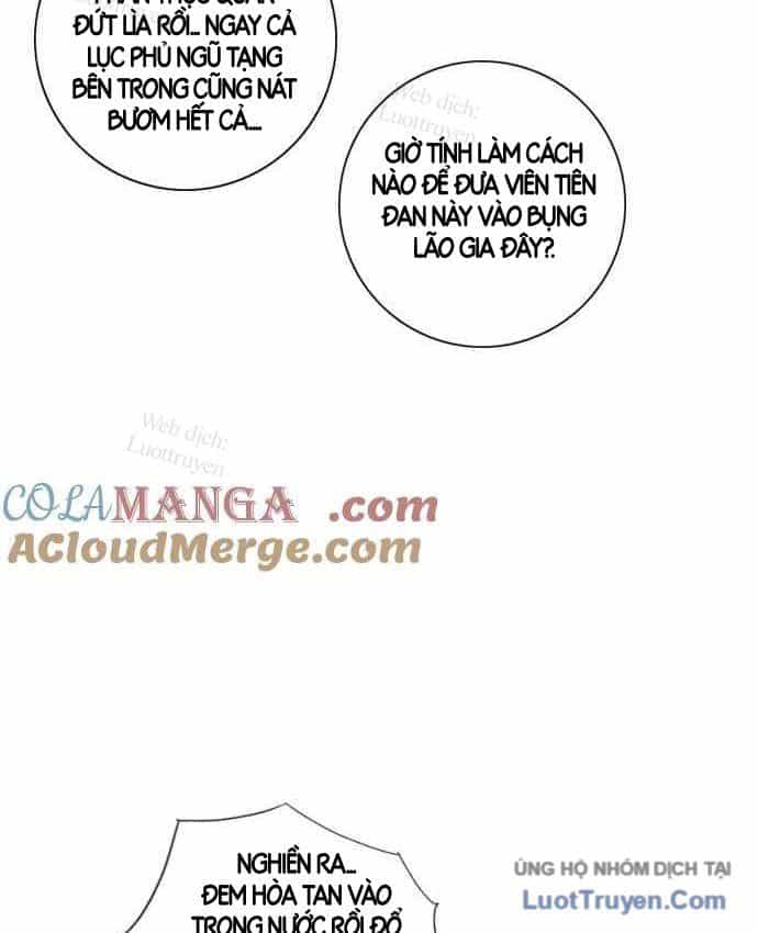 Anh Trai Tôi Là Hổ - Chương 152 - ảnh 70