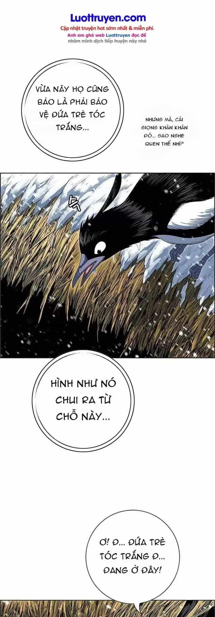 Anh Trai Tôi Là Hổ - Chương 283 - ảnh 52