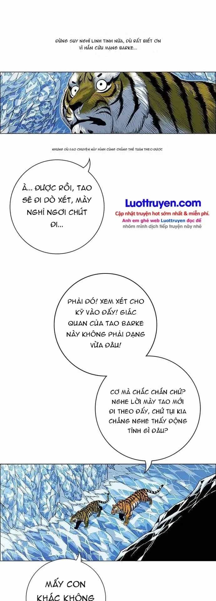 Anh Trai Tôi Là Hổ - Chương 298 - ảnh 52