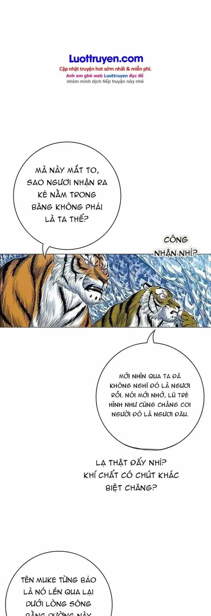 Anh Trai Tôi Là Hổ - Chương 299 - ảnh 17