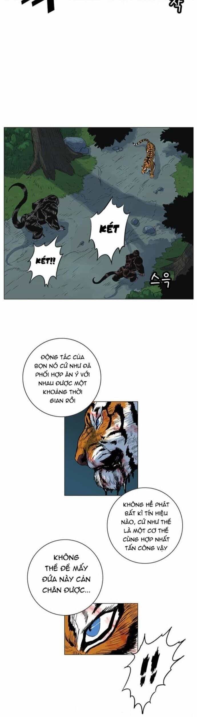 Anh Trai Tôi Là Hổ - Chương 65 - ảnh 14
