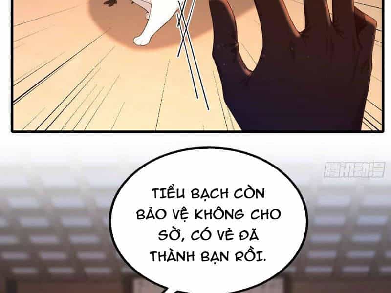 Ảo Ma! Ta Mở Lớp Huấn Luyện Nữ Đế! - Chương 8 - ảnh 28
