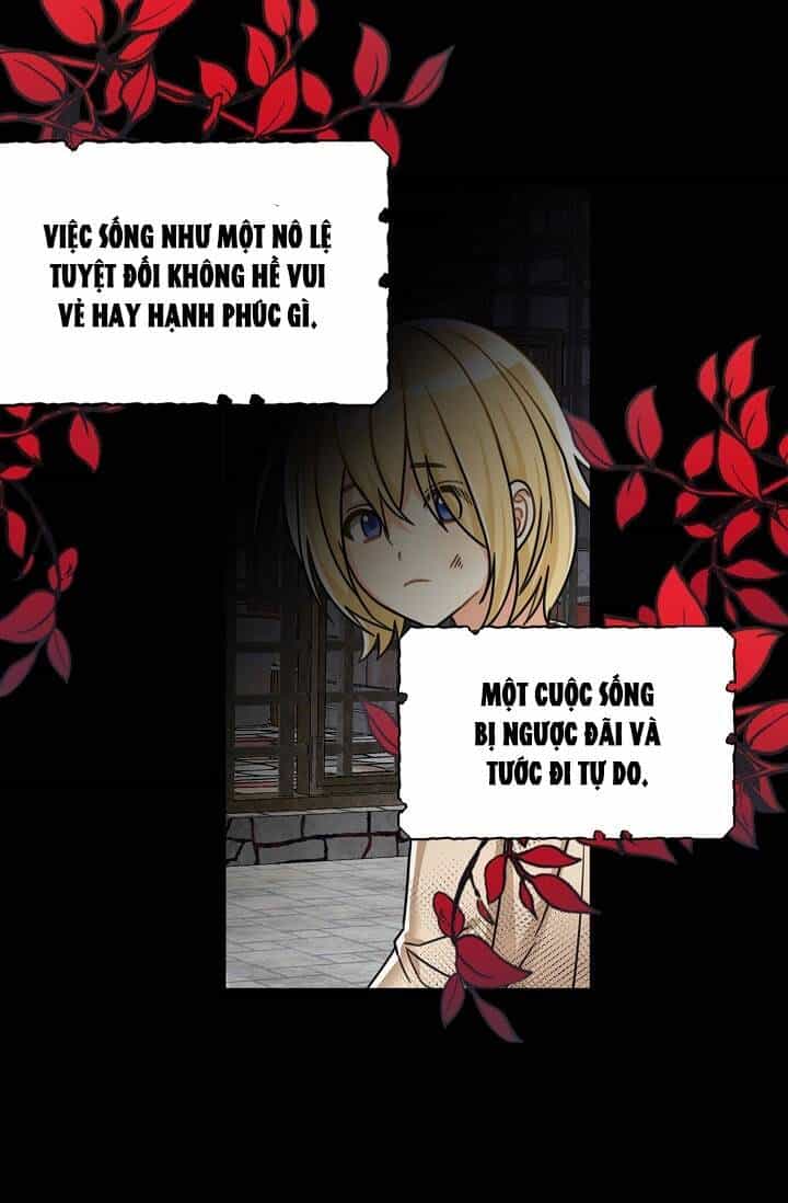 Ba Người Anh Trai Của Tôi Là Bạo Quân - Chương 2 - ảnh 23