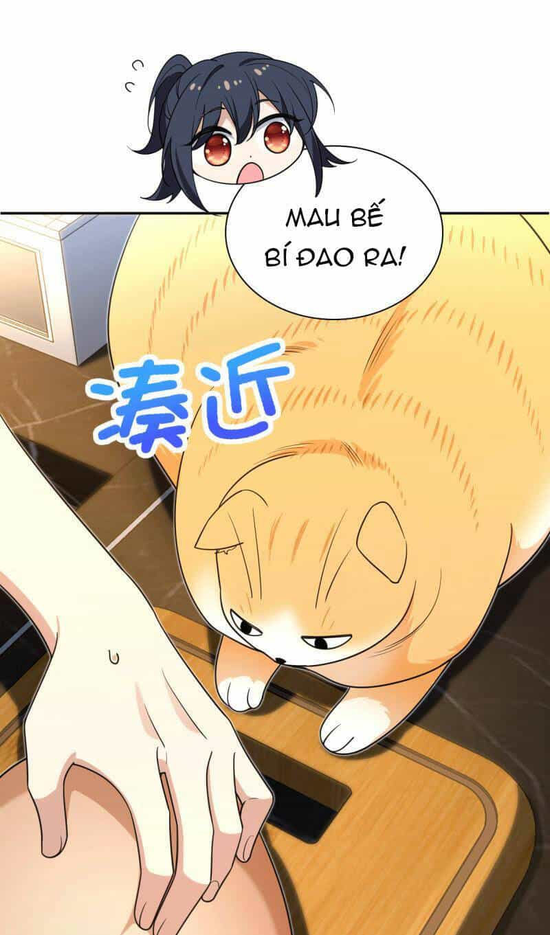 Bà Xã Nhà Tôi Đến Từ Ngàn Năm Trước - Chương 157 - ảnh 47