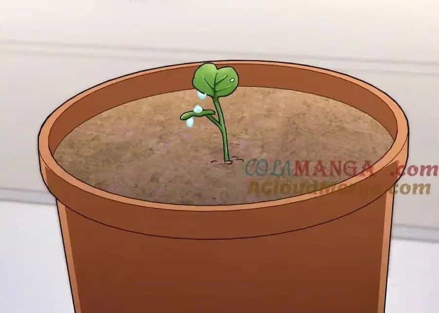 Bà Xã Nhà Tôi Đến Từ Ngàn Năm Trước - Chương 274 - ảnh 47