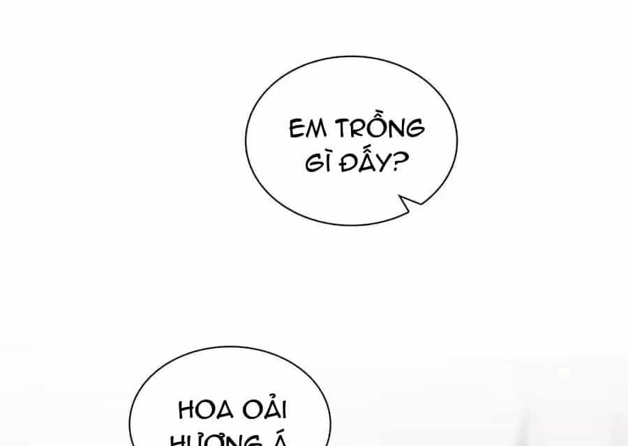 Bà Xã Nhà Tôi Đến Từ Ngàn Năm Trước - Chương 274 - ảnh 52