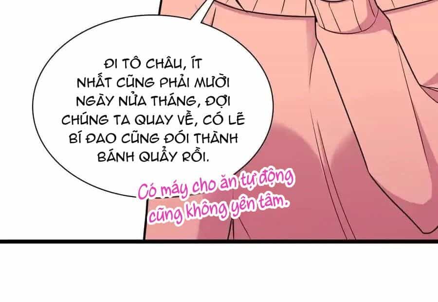 Bà Xã Nhà Tôi Đến Từ Ngàn Năm Trước - Chương 274 - ảnh 94