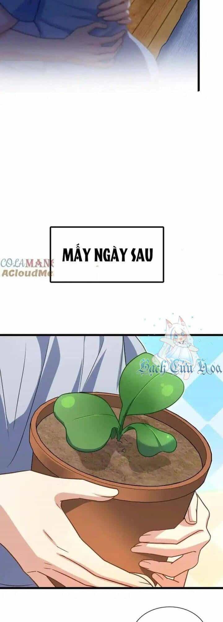 Bà Xã Nhà Tôi Đến Từ Ngàn Năm Trước - Chương 284 - ảnh 27