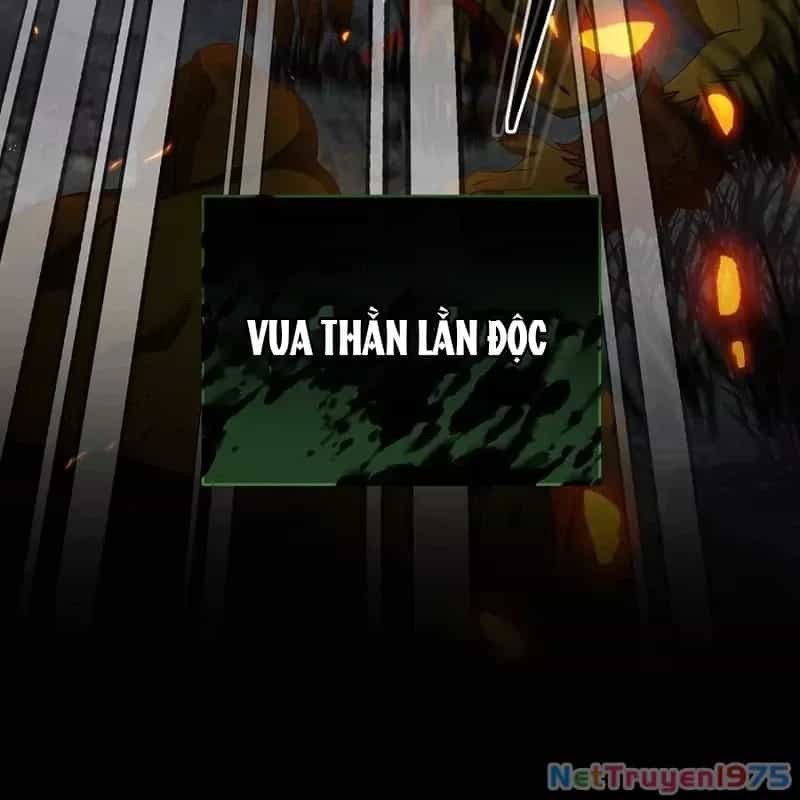 Bậc Thầy Toàn Bộ Kỹ Năng - Chương 11 - ảnh 15