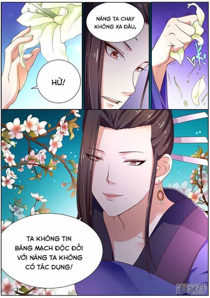 Bạch Chỉ Y Tiên - Chương 2 - ảnh 14