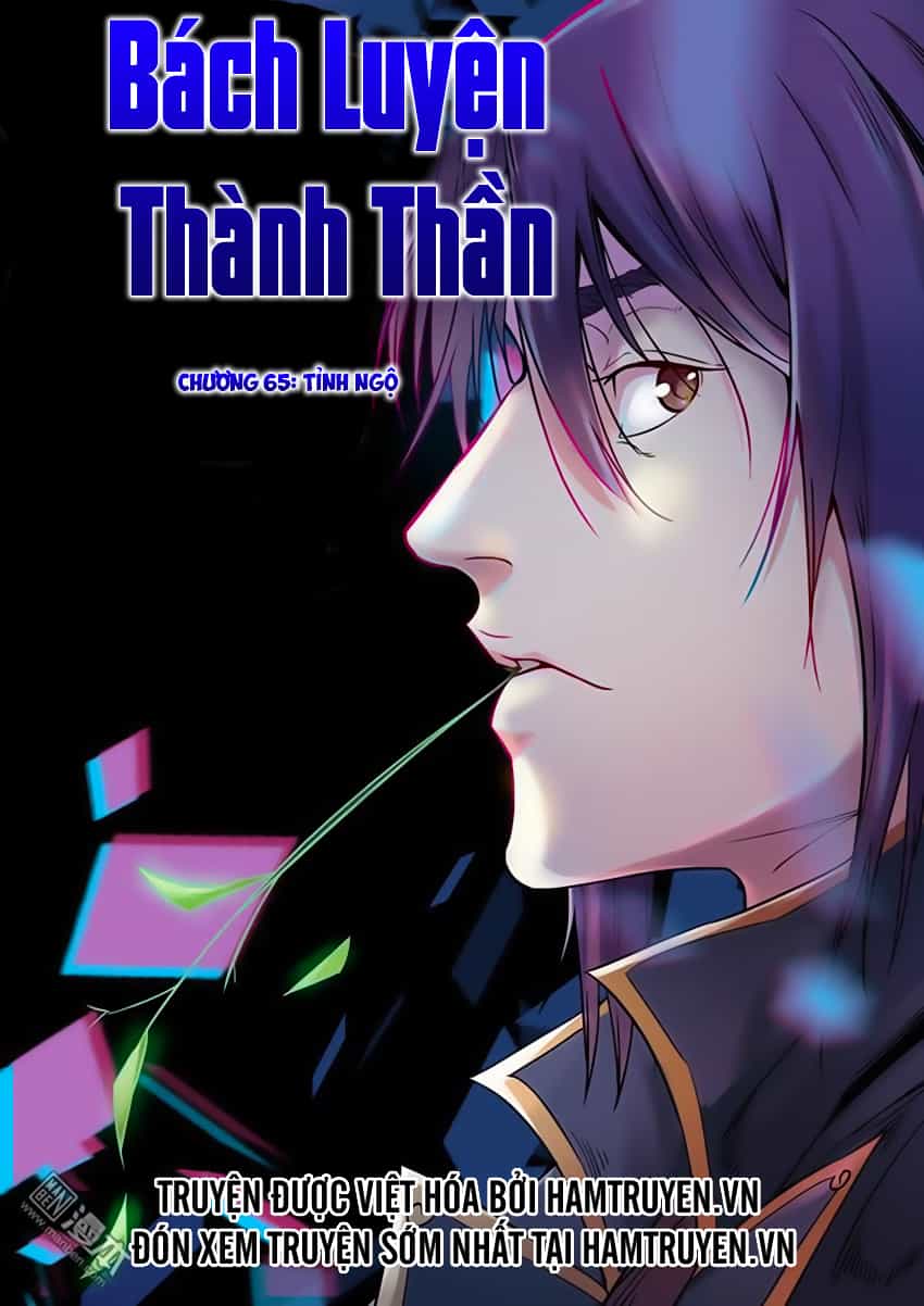 Bách Luyện Thành Thần - Chương 65 - ảnh 2