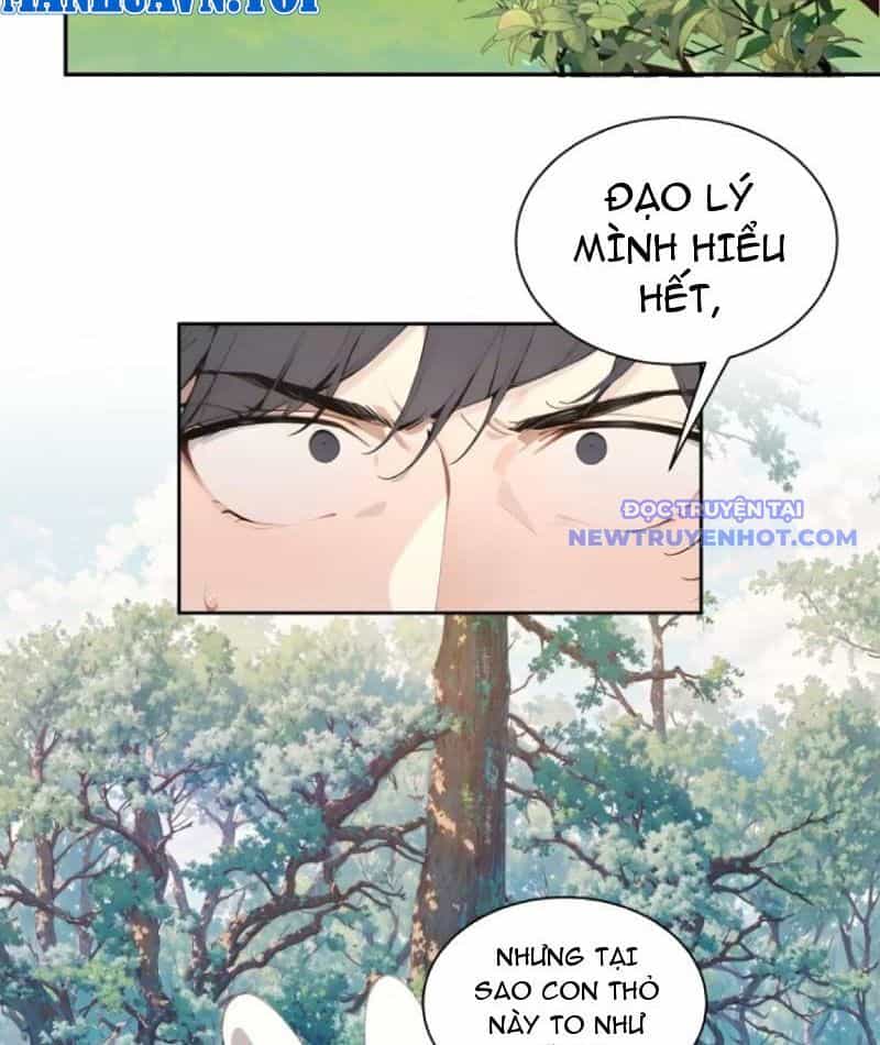 Bách Thê Phổ: Thánh Nữ Đều Gọi Ta Là Phu Quân - Chương 12 - ảnh 8