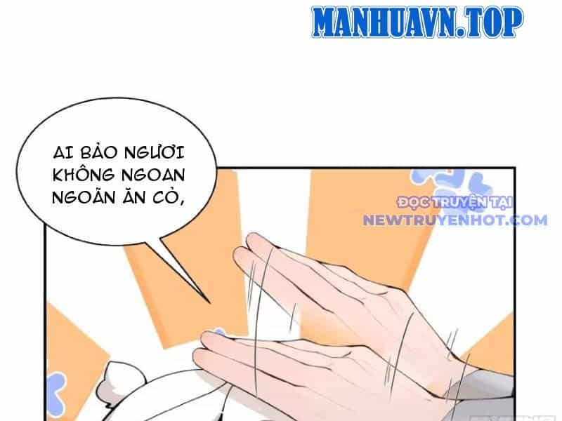 Bách Thê Phổ: Thánh Nữ Đều Gọi Ta Là Phu Quân - Chương 14 - ảnh 8