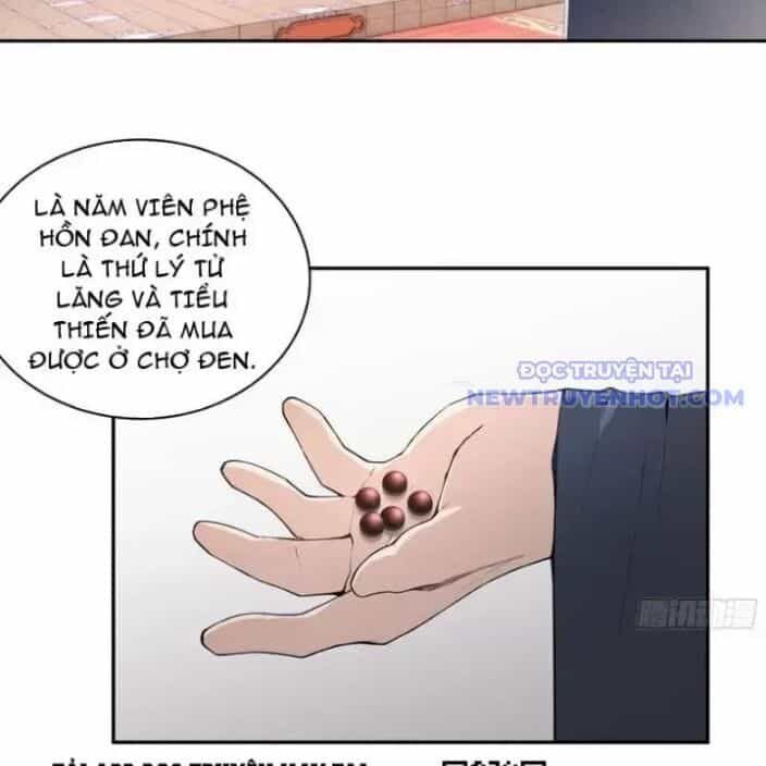 Bách Thê Phổ: Thánh Nữ Đều Gọi Ta Là Phu Quân - Chương 31 - ảnh 23