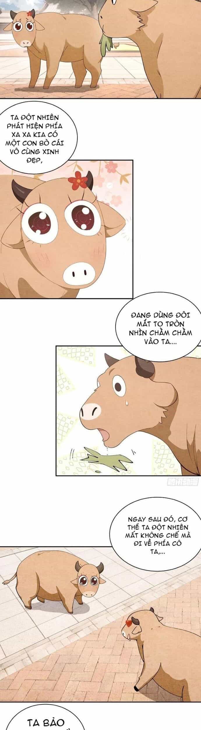 Bách Thê Phổ: Thánh Nữ Đều Gọi Ta Là Phu Quân - Chương 34 - ảnh 6