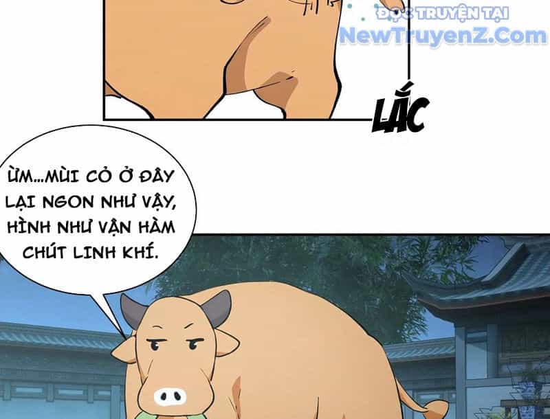 Bách Thê Phổ: Thánh Nữ Đều Gọi Ta Là Phu Quân - Chương 52 - ảnh 21