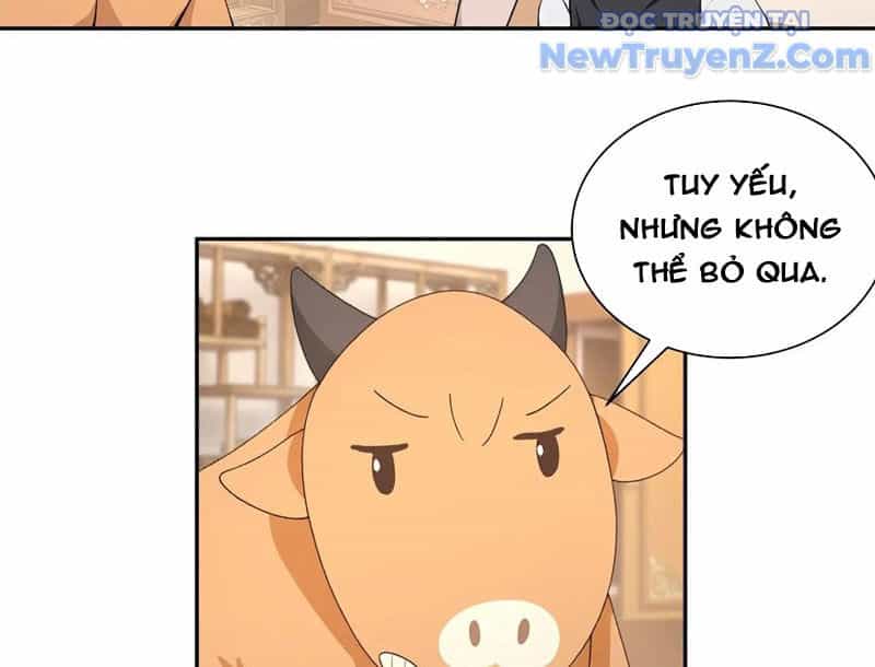 Bách Thê Phổ: Thánh Nữ Đều Gọi Ta Là Phu Quân - Chương 52 - ảnh 39