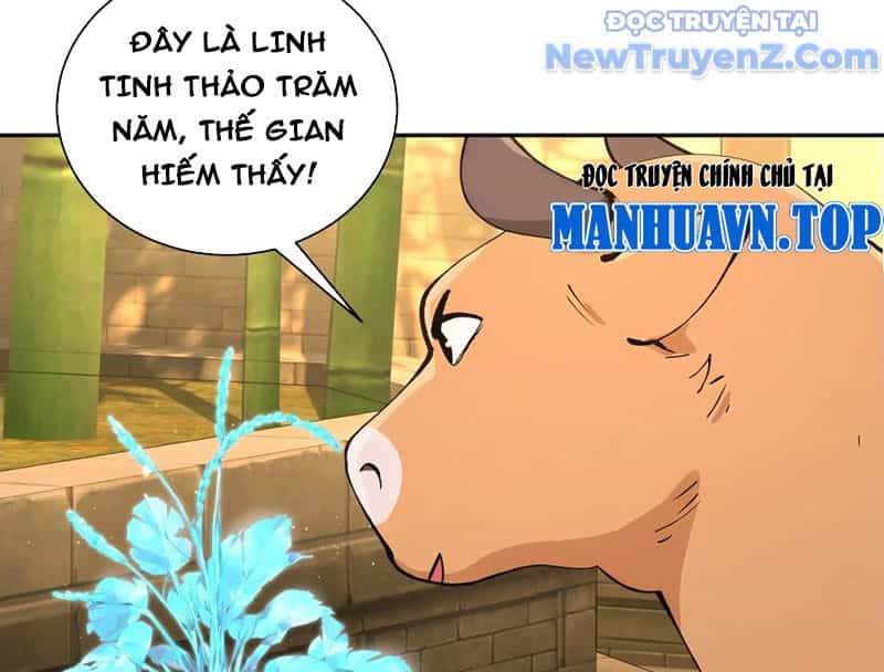 Bách Thê Phổ: Thánh Nữ Đều Gọi Ta Là Phu Quân - Chương 52 - ảnh 70