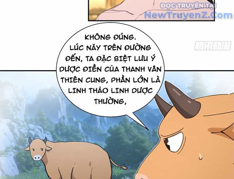 Bách Thê Phổ: Thánh Nữ Đều Gọi Ta Là Phu Quân - Chương 52 - ảnh 75