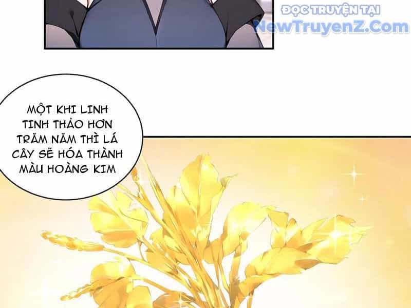 Bách Thê Phổ: Thánh Nữ Đều Gọi Ta Là Phu Quân - Chương 55 - ảnh 17