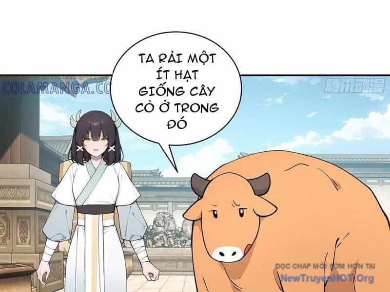 Bách Thê Phổ: Thánh Nữ Đều Gọi Ta Là Phu Quân - Chương 64 - ảnh 33