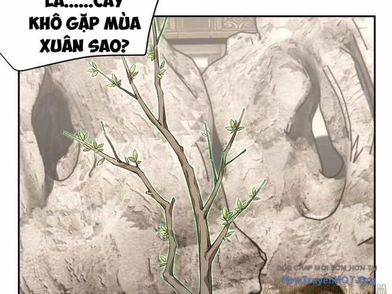 Bách Thê Phổ: Thánh Nữ Đều Gọi Ta Là Phu Quân - Chương 64 - ảnh 59